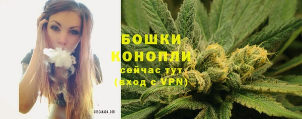 твердый Волоколамск