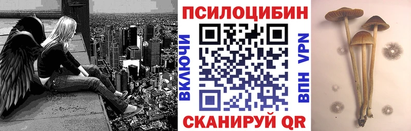 Псилоцибиновые грибы Psilocybe  где купить наркоту  Казань 